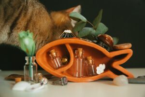 Pet-Safe Essential Oils: Curating a Clean Home Sanctuary